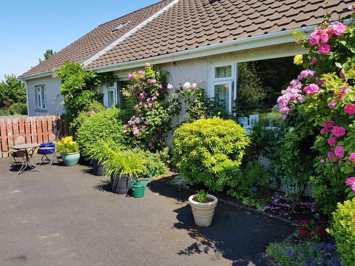 באלימנה Meadow View B&B מראה חיצוני תמונה